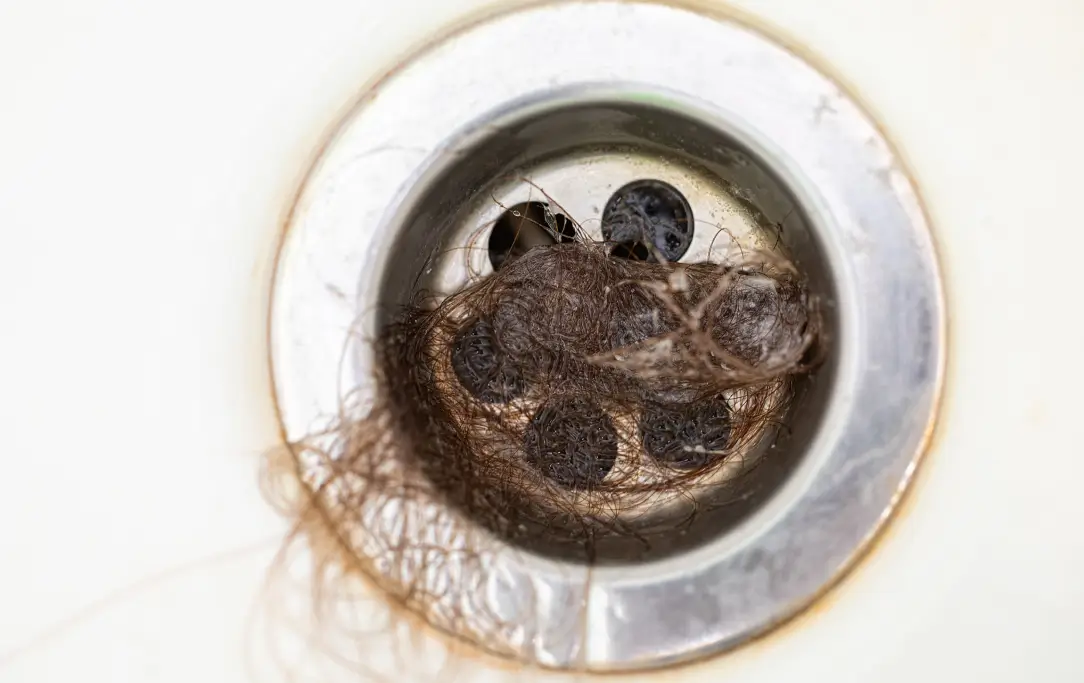 shower drain clogged with hair