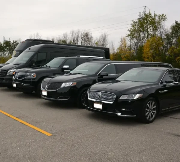 Cowry Limousines