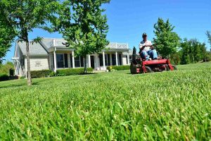 Residential Lawn Care Contractor Near Holden MA
