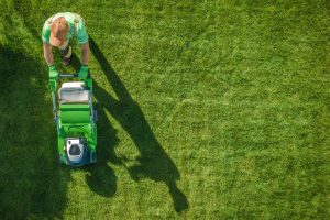 Lawn Mowing Companies in Worcester MA