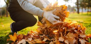 Junk Removal Services in Westborough MA