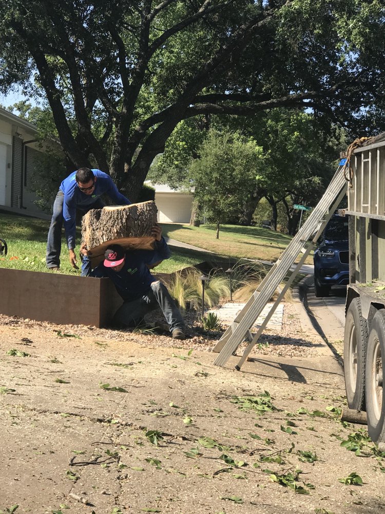 best tree trimming service in cedar park tx