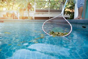 Pool maintenance Wilton manors