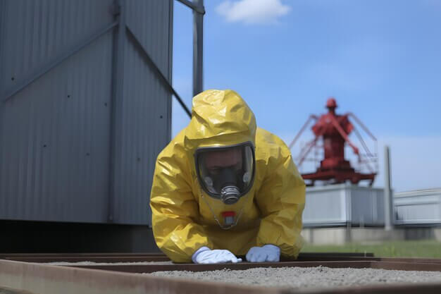 roof rat extermination services in saddlebrooke az