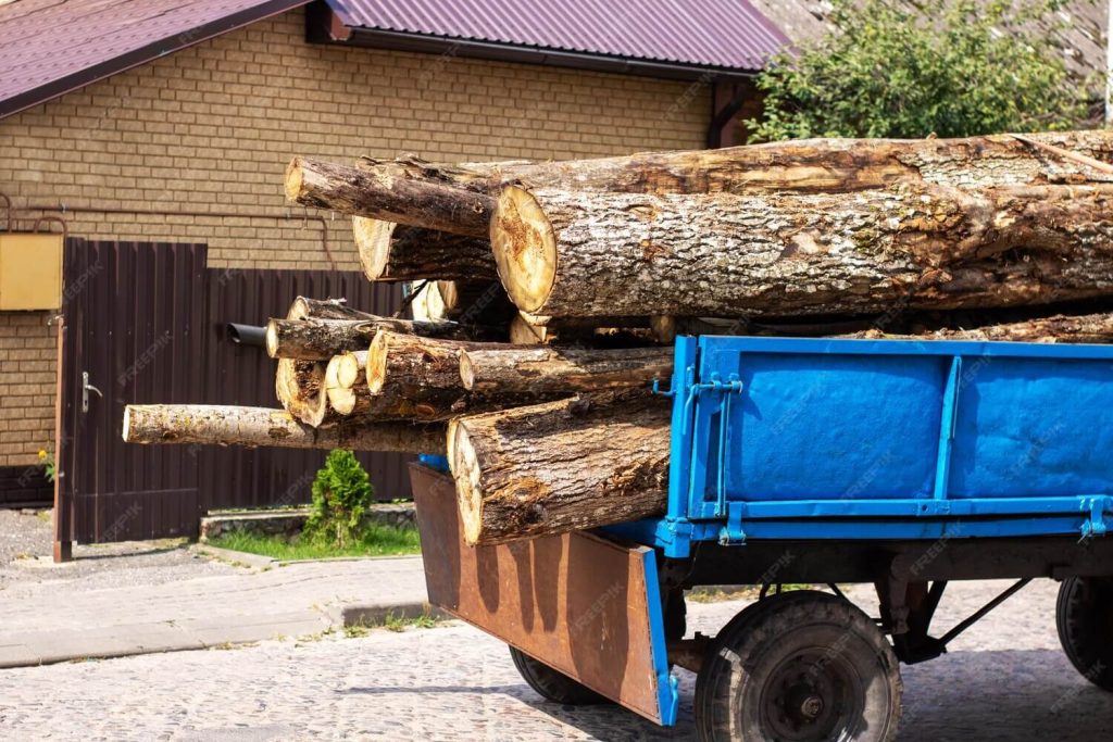 Commercial Tree removal services Palm Harbor FL