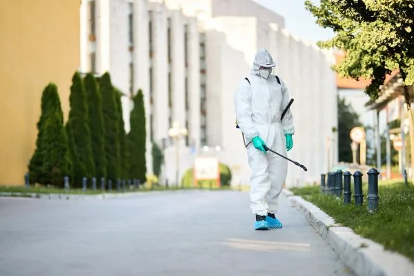 residential and commercial ants extermination company in Queens NY