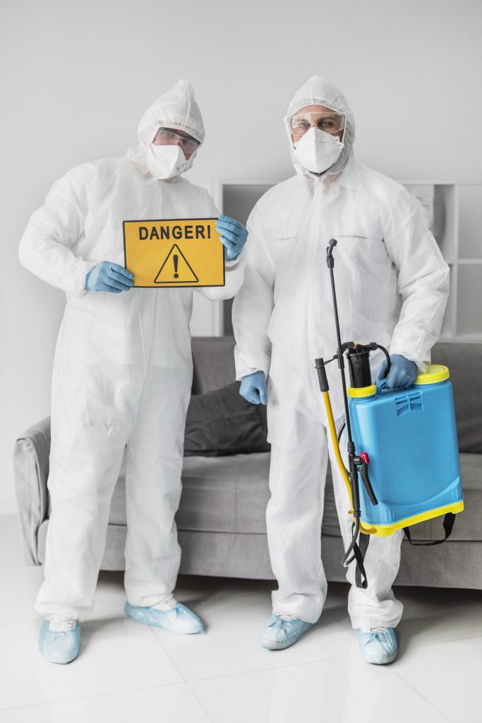 residential and commercial ants extermination company in Queens NY