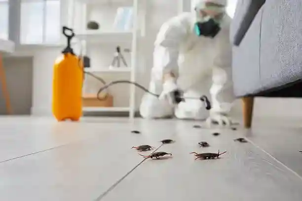 Same Day Bugs Removal Services for hire in Long Island NY