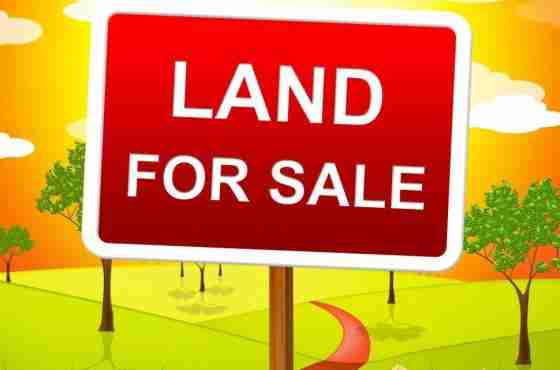 Land Buyers