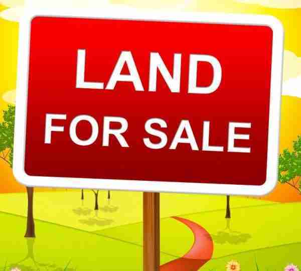 Land Buyers