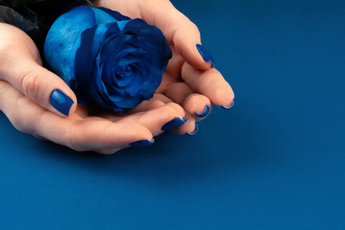 blue rose flower