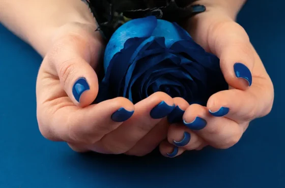 Are Blue Roses Real?