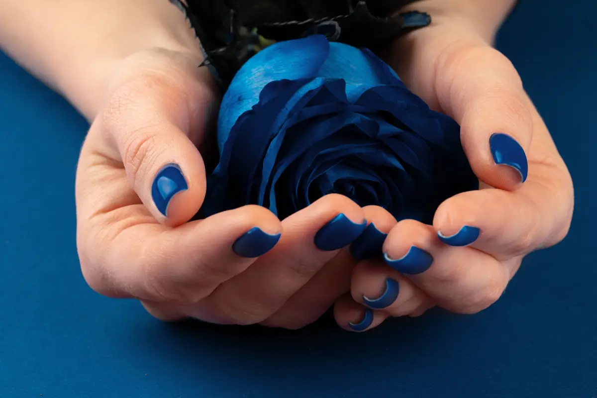 blue roses