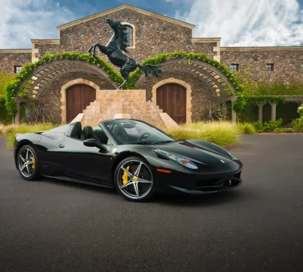 Instant Luxury Rentals