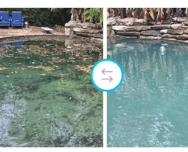 Yummy Pools