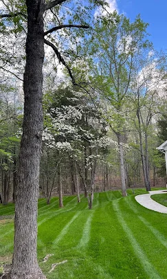 Lawn care services Waxhaw NC