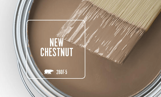 The Timeless Elegance of Chestnut Painted Walls | A Complete Design Guide for 2026