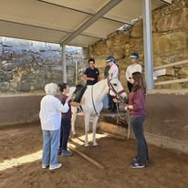 Hippotherapy Cascais Portugal