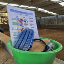 Hippotherapy Cascais Portugal