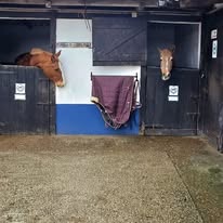 Hippotherapy Cascais Portugal