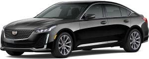Limo service Las Vegas