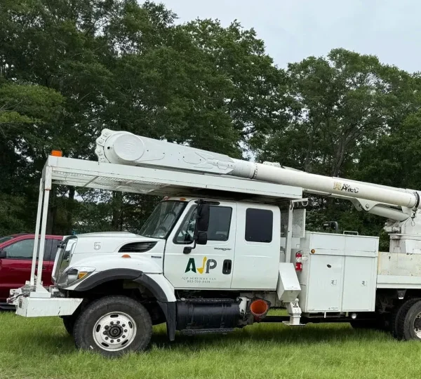Tree removal Batesburg-Leesville SC