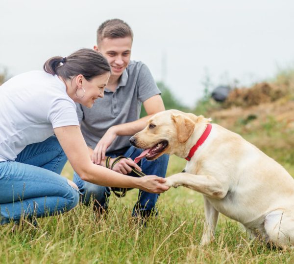 Pooper scooper service Los Angeles