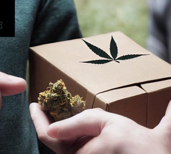 Elevate Dispensary Woodland Hills