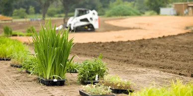 The Sod Pros Landscape