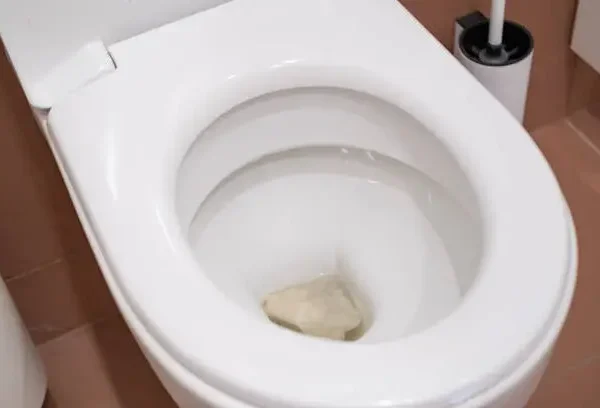 how to unclog toilet when nothing works