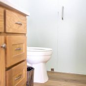 Tiny Master Bathroom