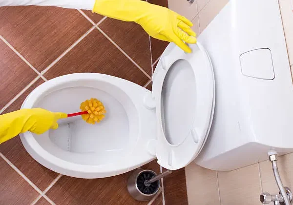 how to unclog toilet when nothing works