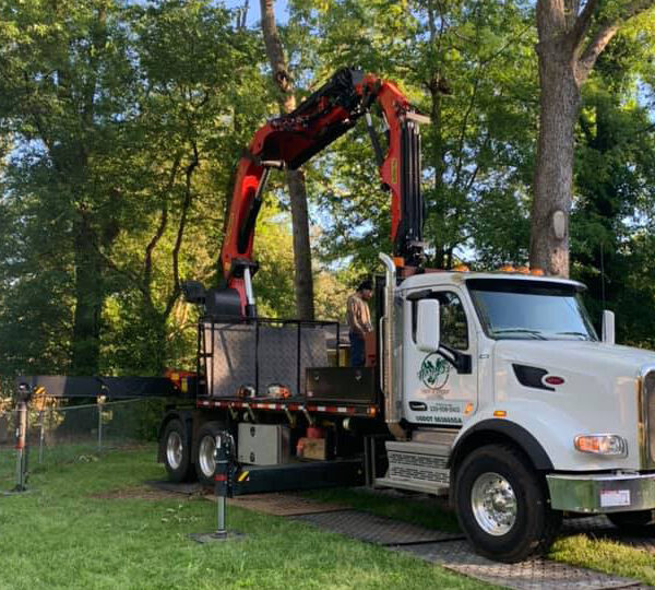 Harper's Tree and Stump Removal